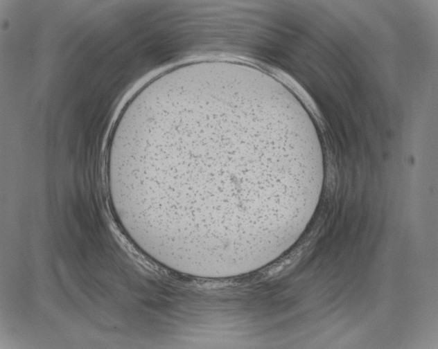 X0000081611004200702121610