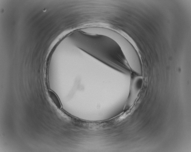 X0000081611005200702121610