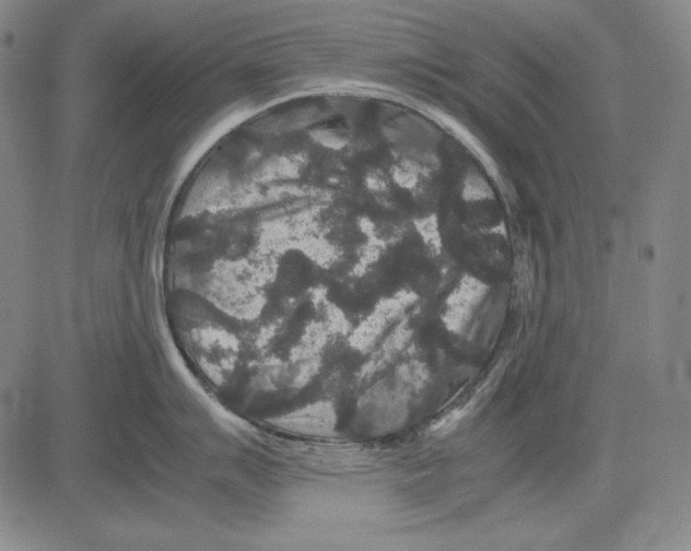 X0000081611007200702121610