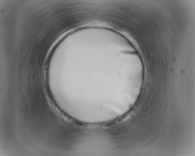 X0000081611008200702121610