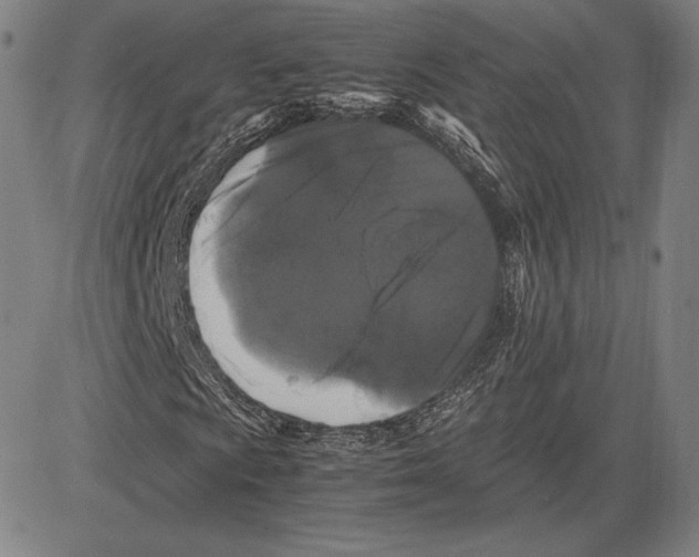 X0000081611009200702121609