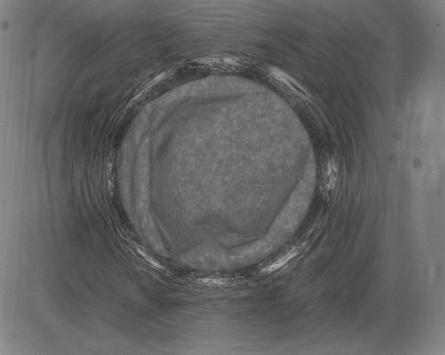 X0000081611010200702121609