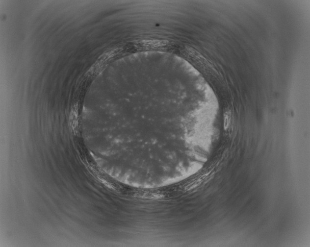 X0000081611011200702121609