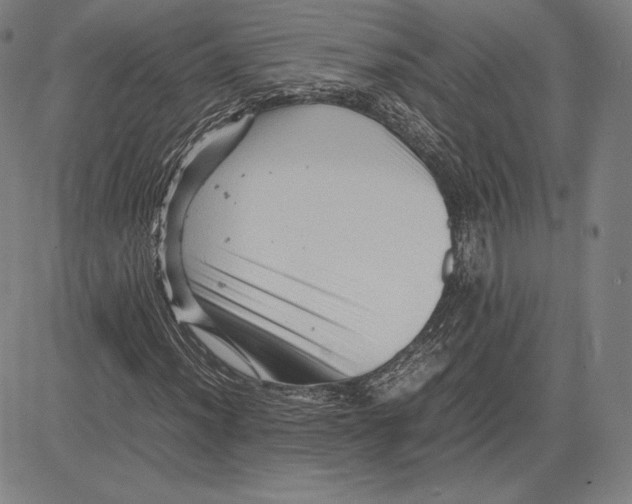 X0000081611012200702121609