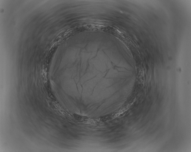 X0000081611013200702121609