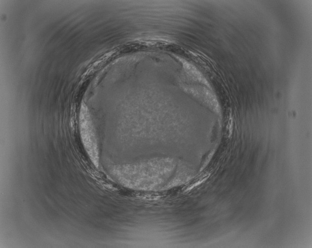 X0000081611014200702121609