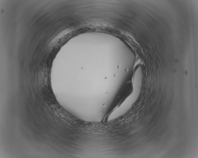 X0000081611016200702121609