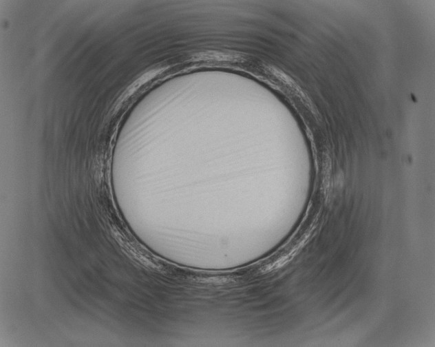 X0000081611017200702121609