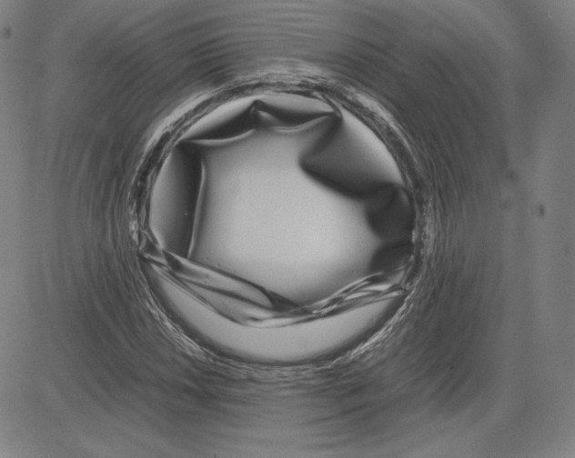 X0000081611018200702121609