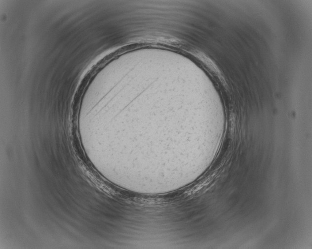 X0000081611020200702121609