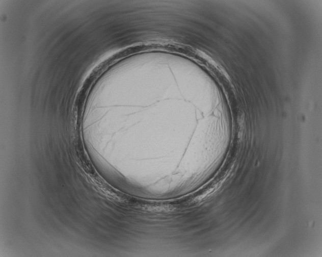 X0000081611021200702121609