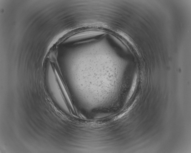 X0000081611022200702121609