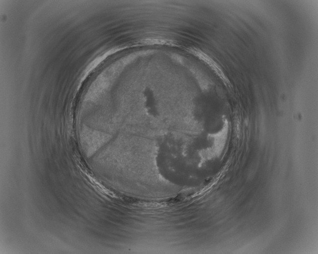 X0000081611023200702121609