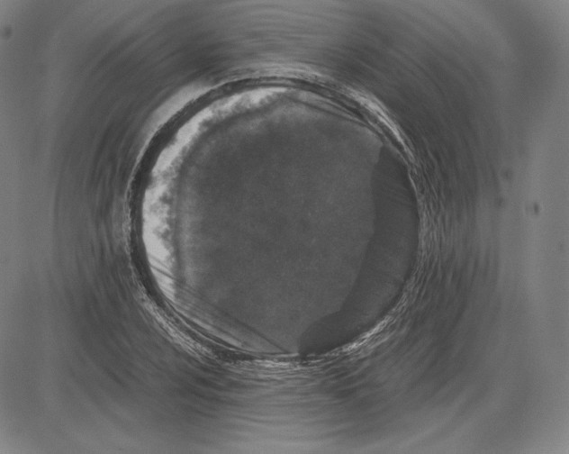 X0000081611024200702121609