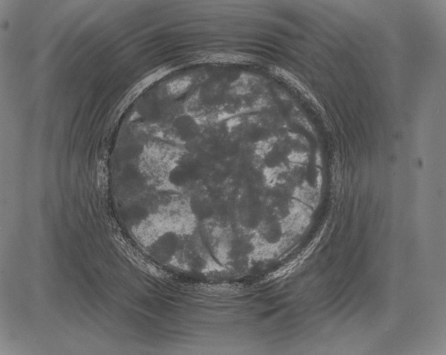 X0000081611025200702121609