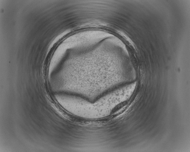 X0000081611026200702121609