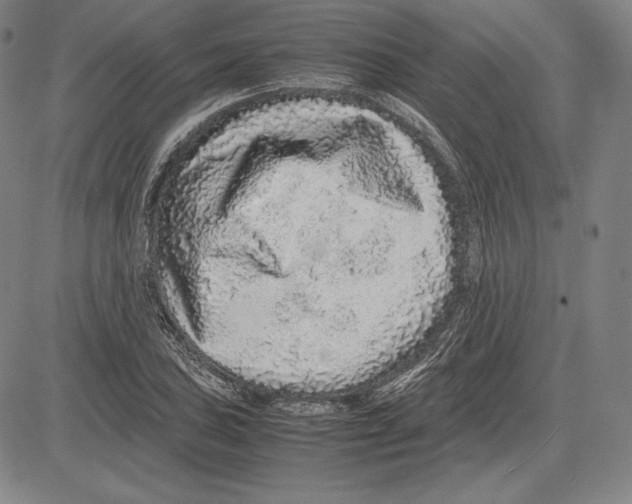 X0000081611027200702121609