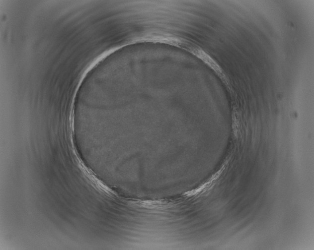 X0000081611028200702121609