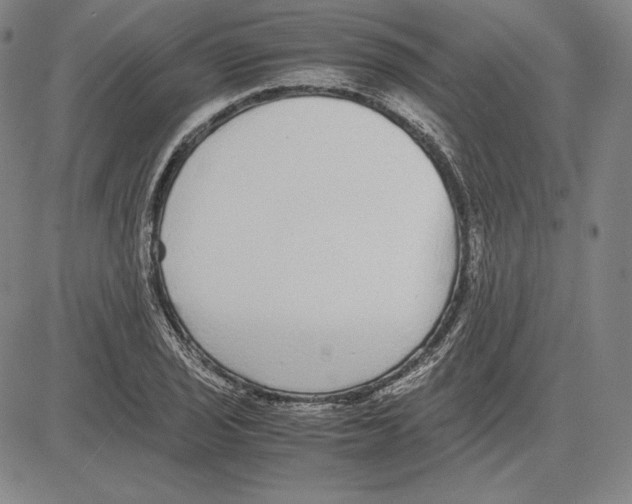 X0000081611029200702121609