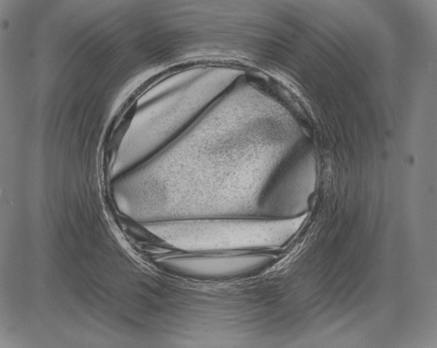 X0000081611030200702121609