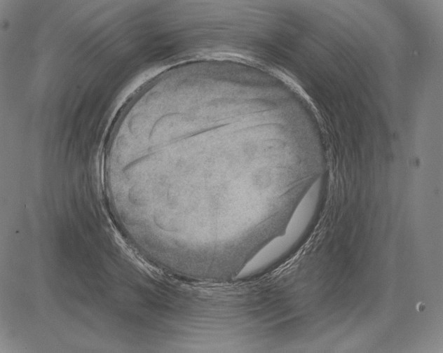 X0000081611032200702121609