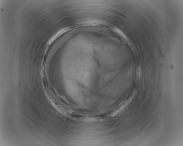 X0000081611034200702121609