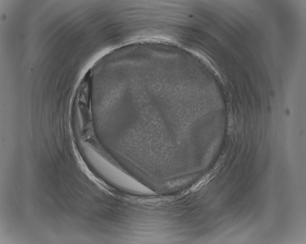 X0000081611038200702121609