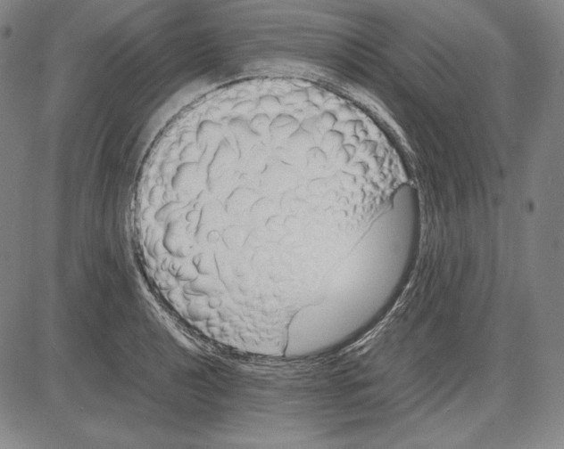 X0000081611040200702121610