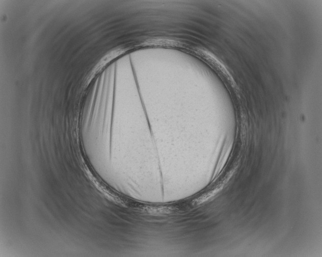 X0000081611041200702121610