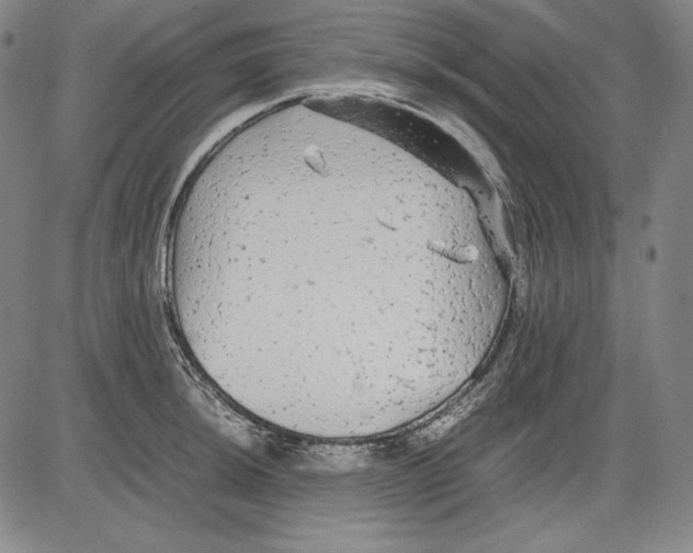 X0000081611044200702121610