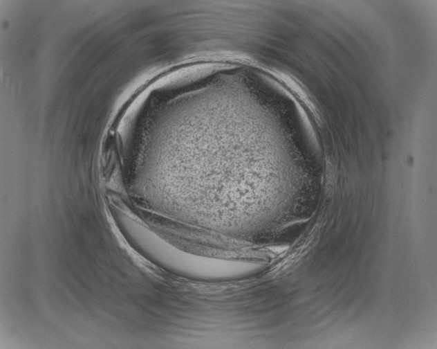 X0000081611046200702121610