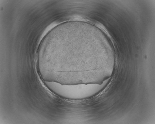 X0000081611048200702121610