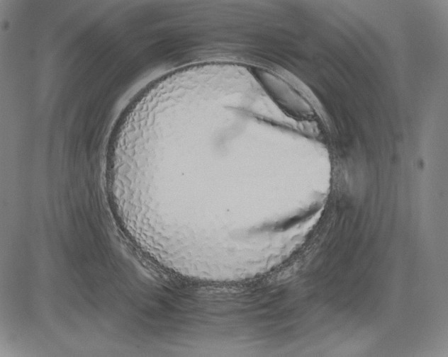 X0000081611051200702121610