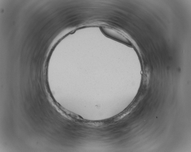 X0000081611053200702121610