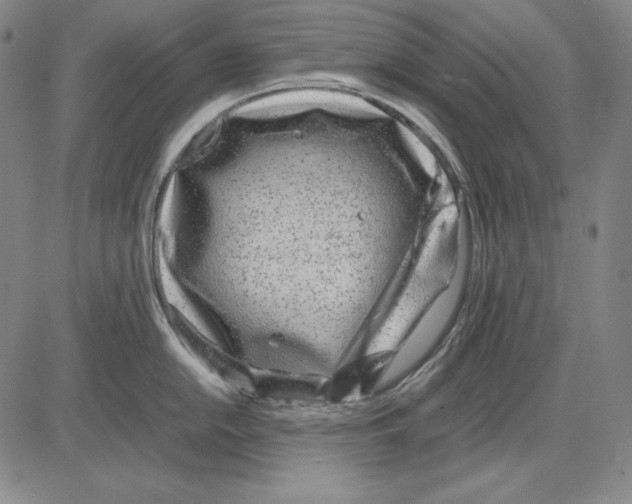 X0000081611054200702121610