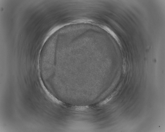 X0000081611055200702121610