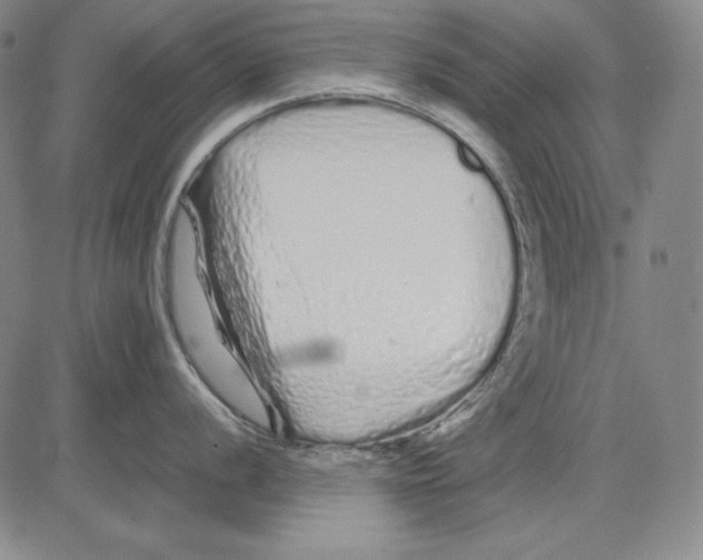 X0000081611056200702121610