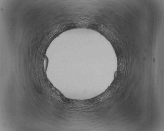 X0000081611057200702121609