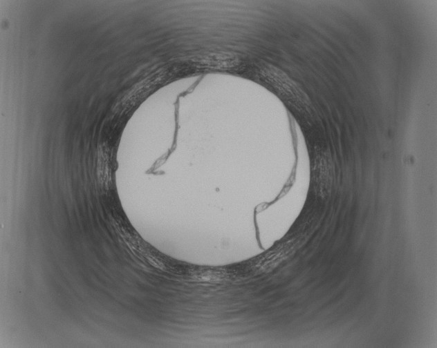 X0000081611058200702121609