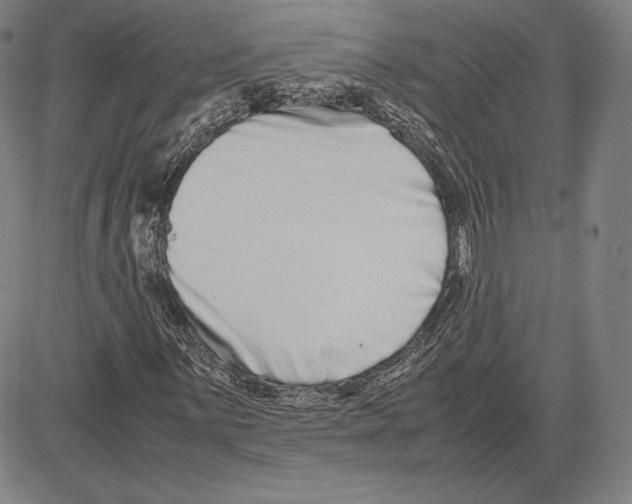 X0000081611059200702121609