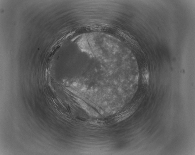 X0000081611060200702121609