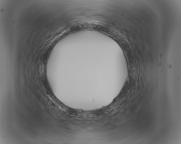 X0000081611061200702121609