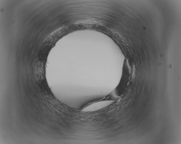 X0000081611062200702121609