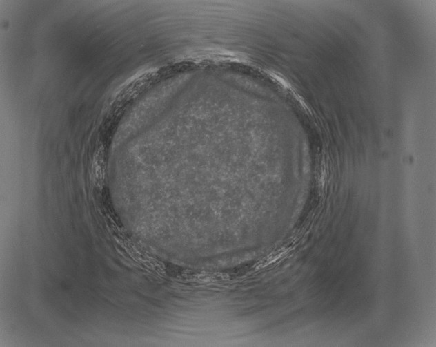 X0000081611063200702121609