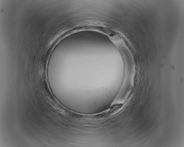 X0000081611065200702121609