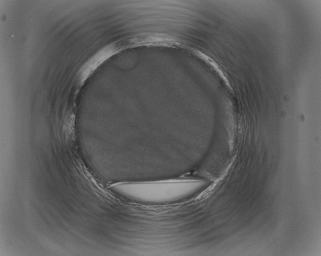 X0000081611066200702121609