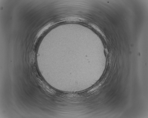 X0000081611067200702121609