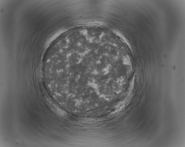 X0000081611071200702121609