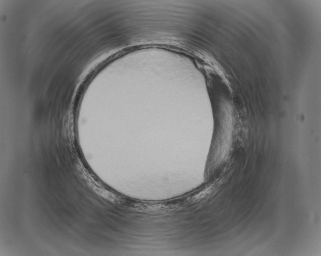 X0000081611072200702121609