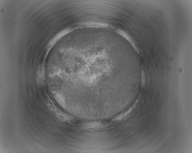 X0000081611074200702121609